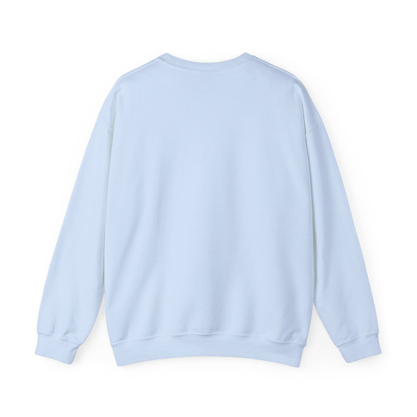 Bleached Canvas™ Blank Crewneck