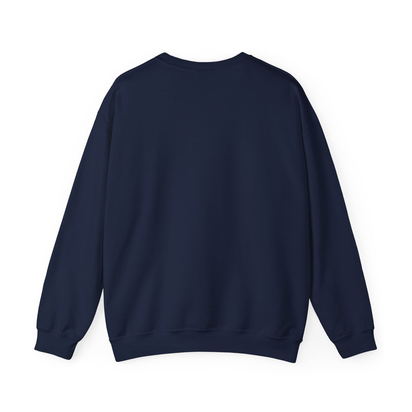 Bleached Canvas™ Blank Crewneck