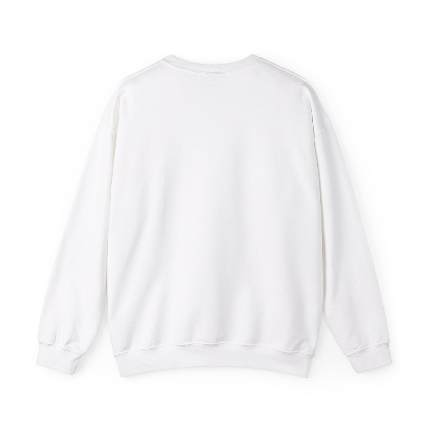 Bleached Canvas™ Blank Crewneck